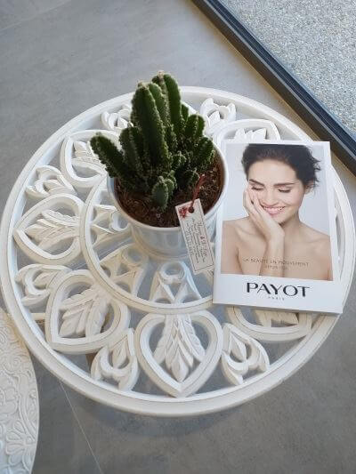 Catalogue Payot